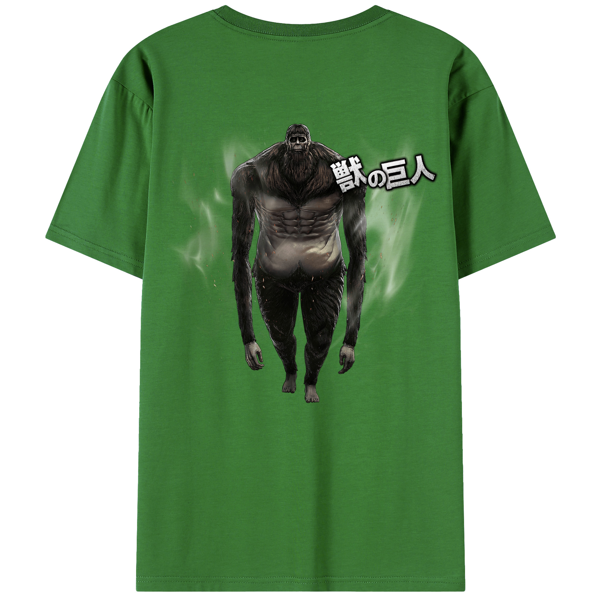（画像用） 進撃の巨人 Attack on Titan レディース半袖Tシャツ(バックプリント)